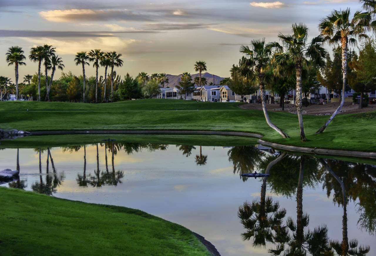 Palm Creek Golf & Rv Resort - 55+ Adults Only Casa Grande Eksteriør billede